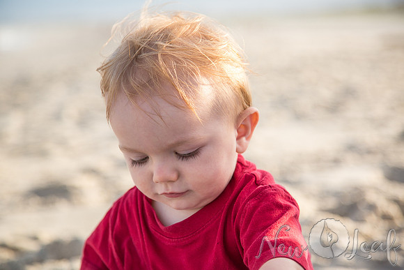050_Brant_beach