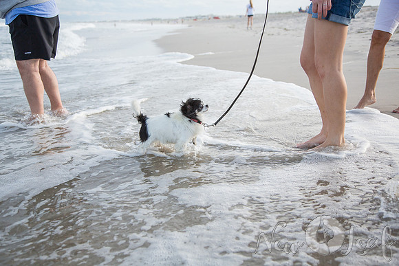 021_Brant_beach