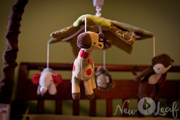 Brant_Maternity_001