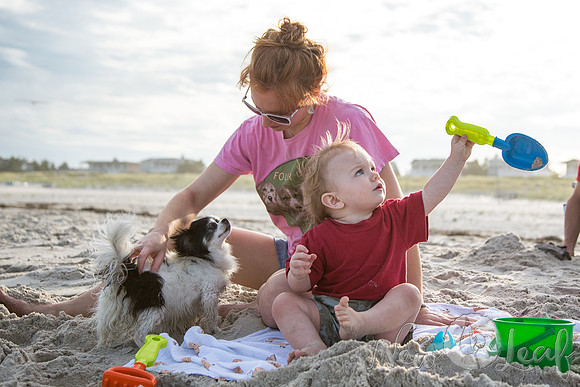 081_Brant_beach