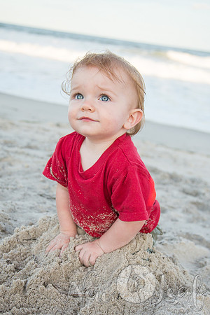 312_Brant_beach
