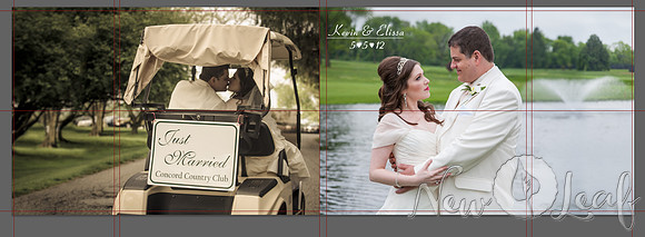 cover_V2_low res with guidelines