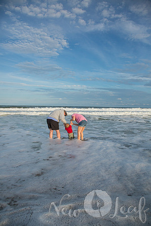 199_Brant_beach
