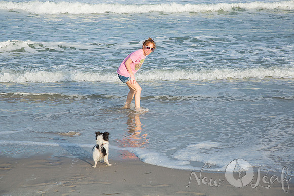 099_Brant_beach
