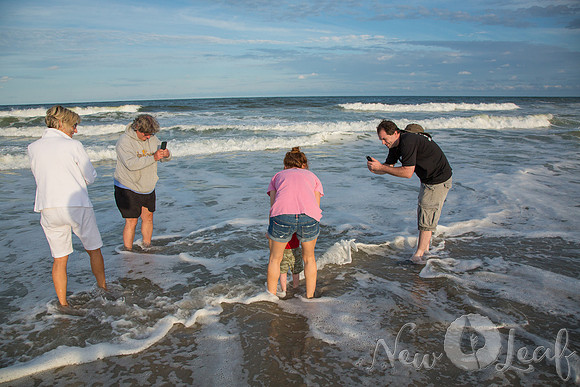 188_Brant_beach