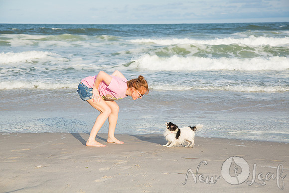 101_Brant_beach