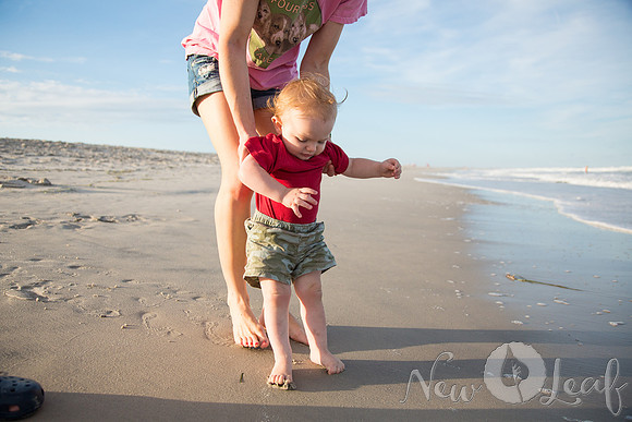 138_Brant_beach