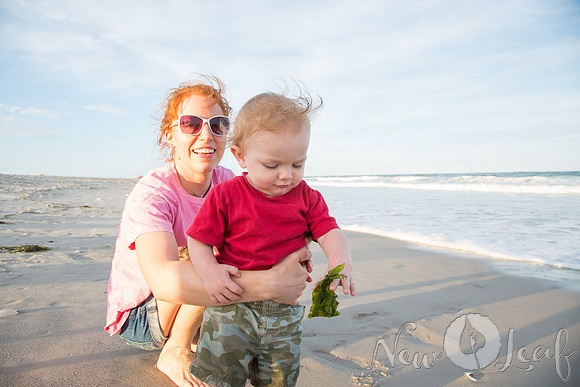 232_Brant_beach