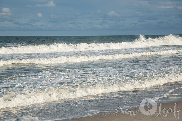 114_Brant_beach