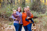 preview_110523