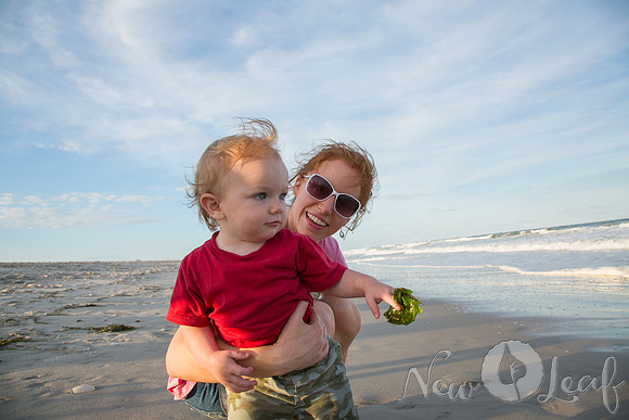 230_Brant_beach