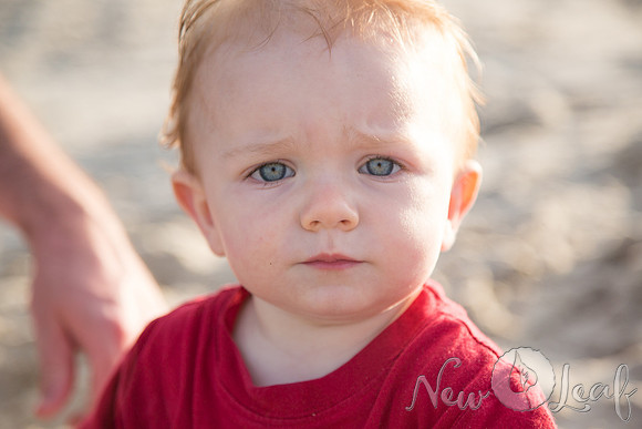 115_Brant_beach