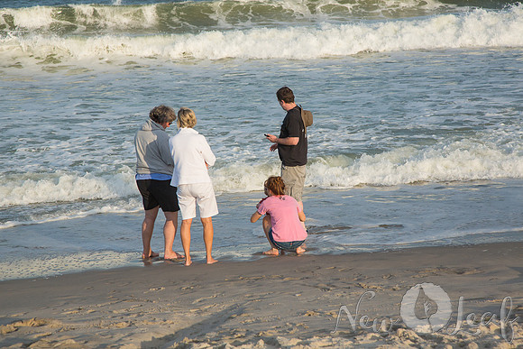 184_Brant_beach