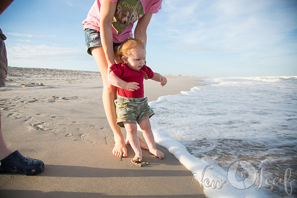 139_Brant_beach