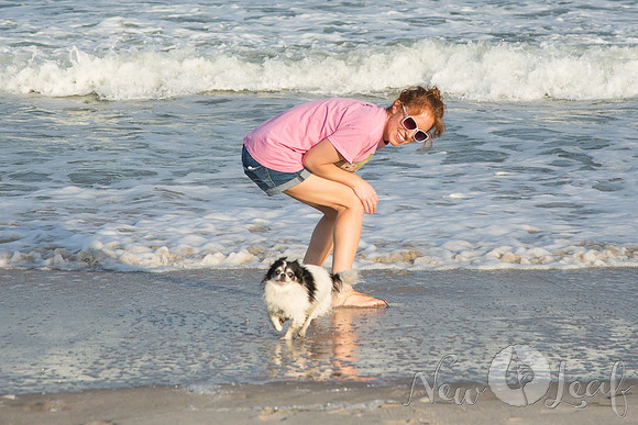 109_Brant_beach