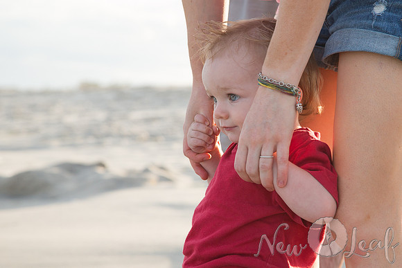 180_Brant_beach