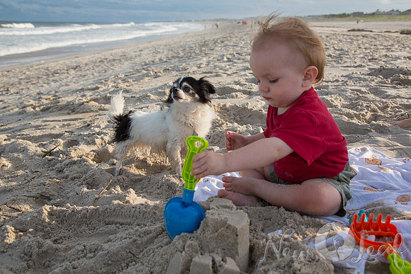 102_Brant_beach
