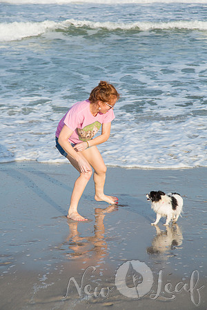 098_Brant_beach