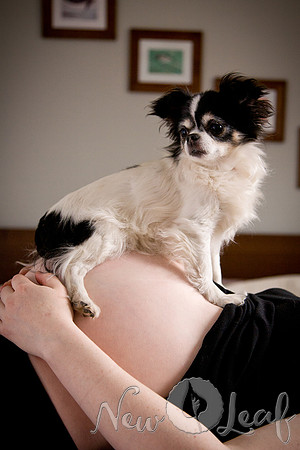 Brant_Maternity_008