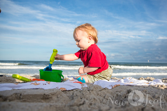 066_Brant_beach