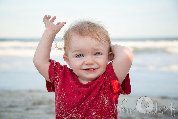 324_Brant_beach