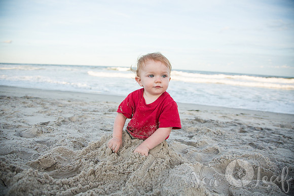 314_Brant_beach