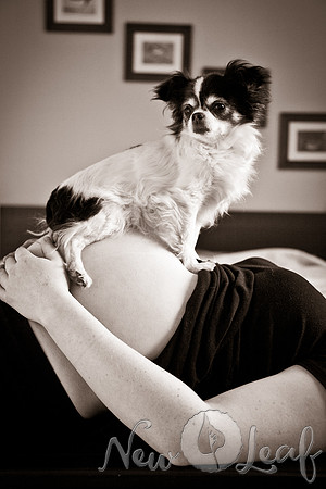 Brant_Maternity_005
