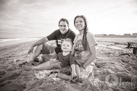 273_Brant_beach