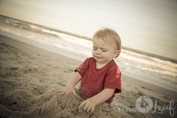 323_Brant_beach