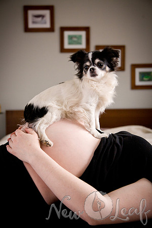 Brant_Maternity_007
