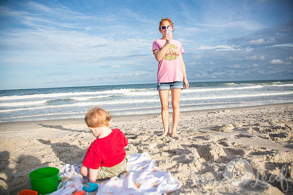 063_Brant_beach