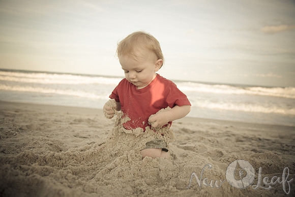 306_Brant_beach