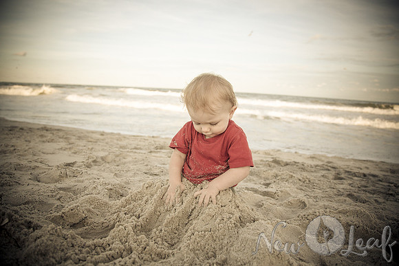 316_Brant_beach