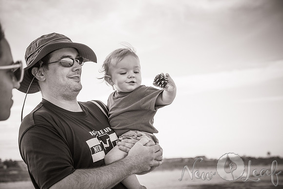 014_Brant_beach