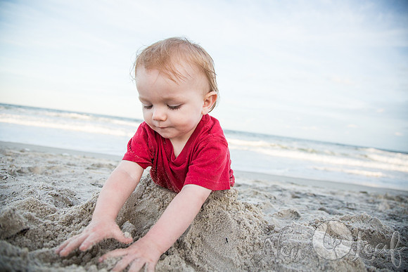 319_Brant_beach
