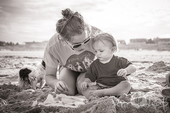 083_Brant_beach