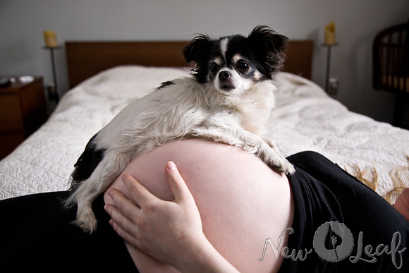 Brant_Maternity_011