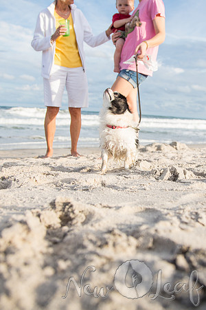 031_Brant_beach