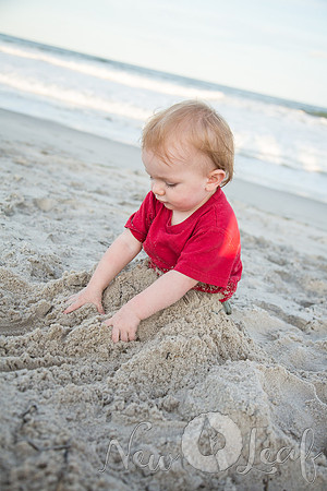 310_Brant_beach