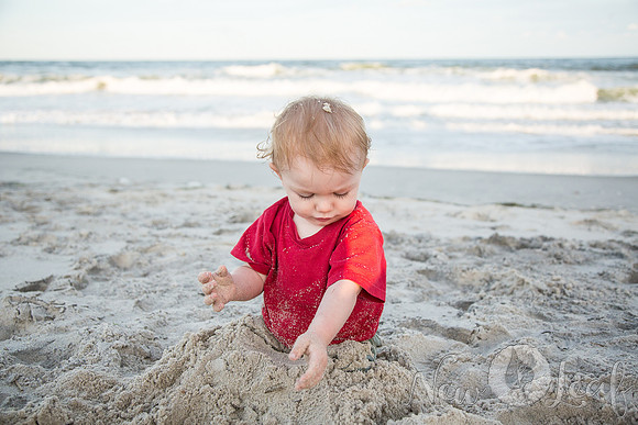 320_Brant_beach