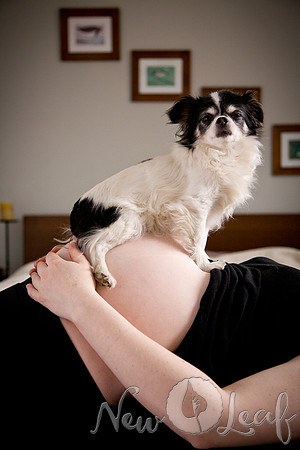 Brant_Maternity_006