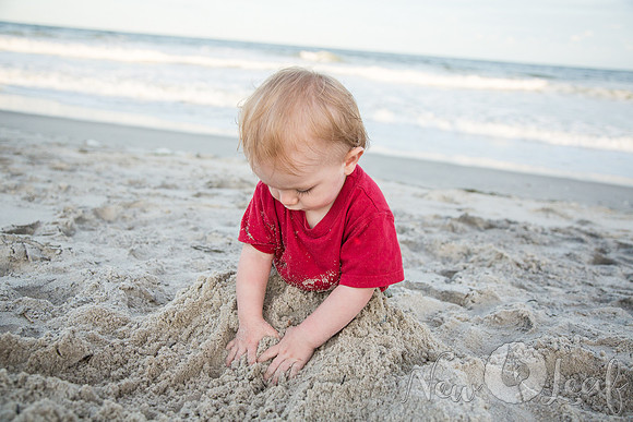 317_Brant_beach