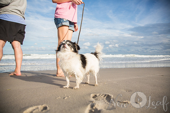 025_Brant_beach