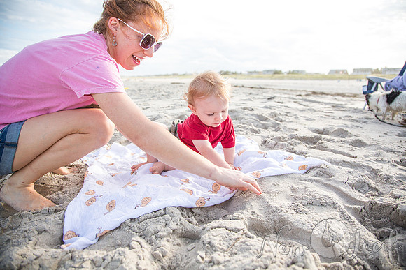 034_Brant_beach