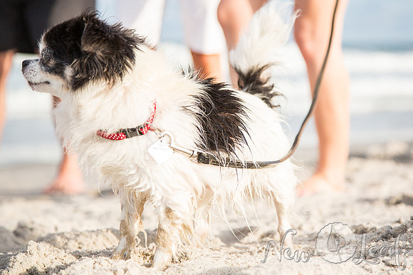 032_Brant_beach