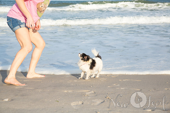 092_Brant_beach