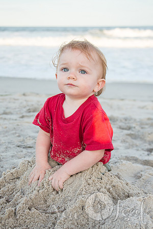 311_Brant_beach