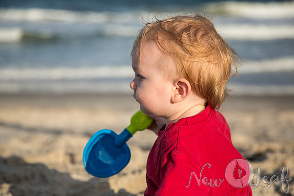 064_Brant_beach