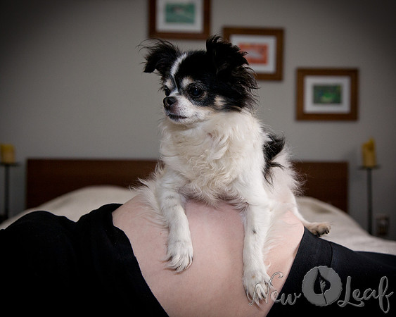 Brant_Maternity_003