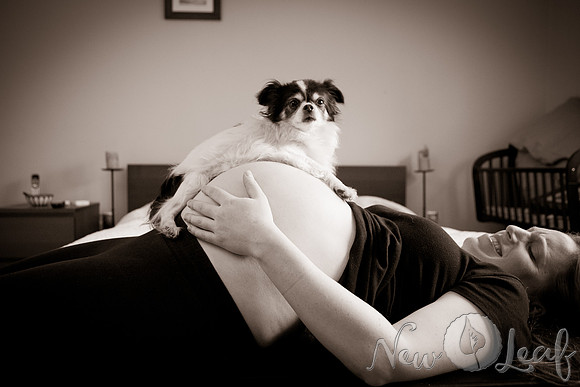 Brant_Maternity_010
